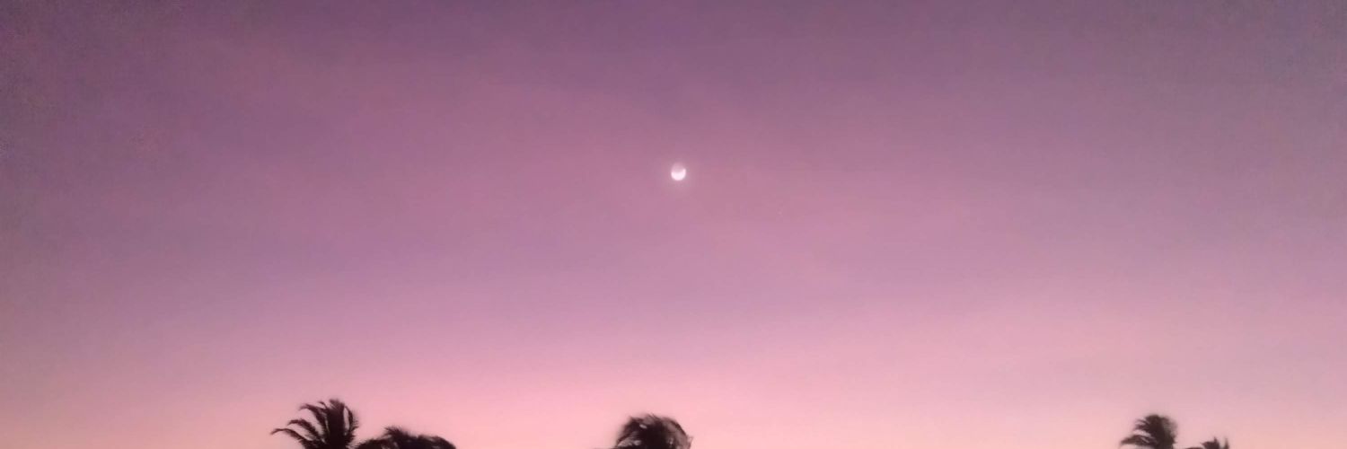 Carlos Cortez @carco72 banner