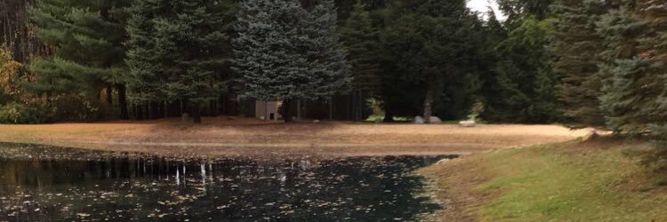 rbeckman8's profile banner image