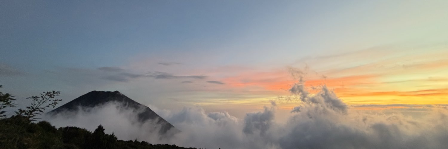 oddlytranquil's profile banner image