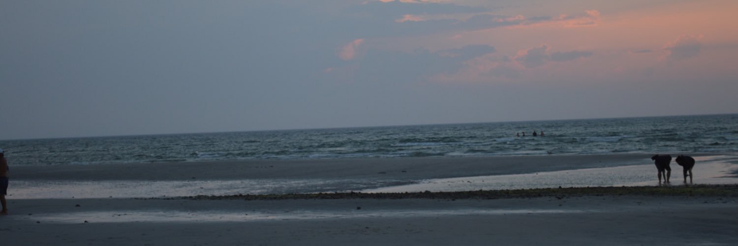 daevandyke's profile banner image