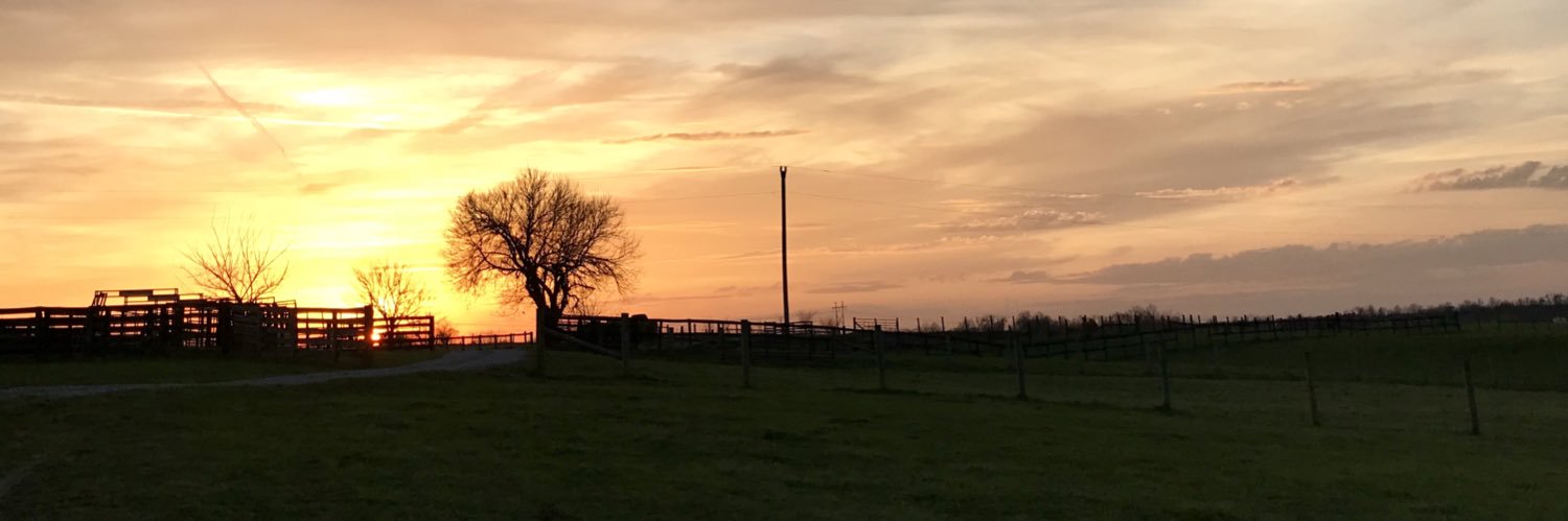 simonspecial's profile banner image