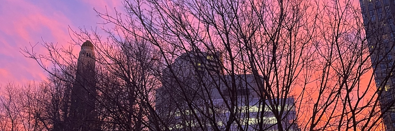 Lysandra Ohrstrom banner