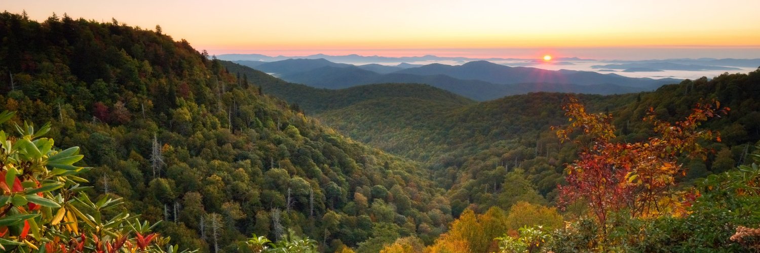 David Thompson banner