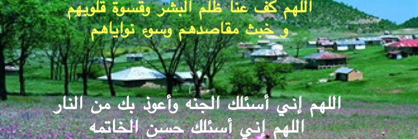 L_A_1423's profile banner image