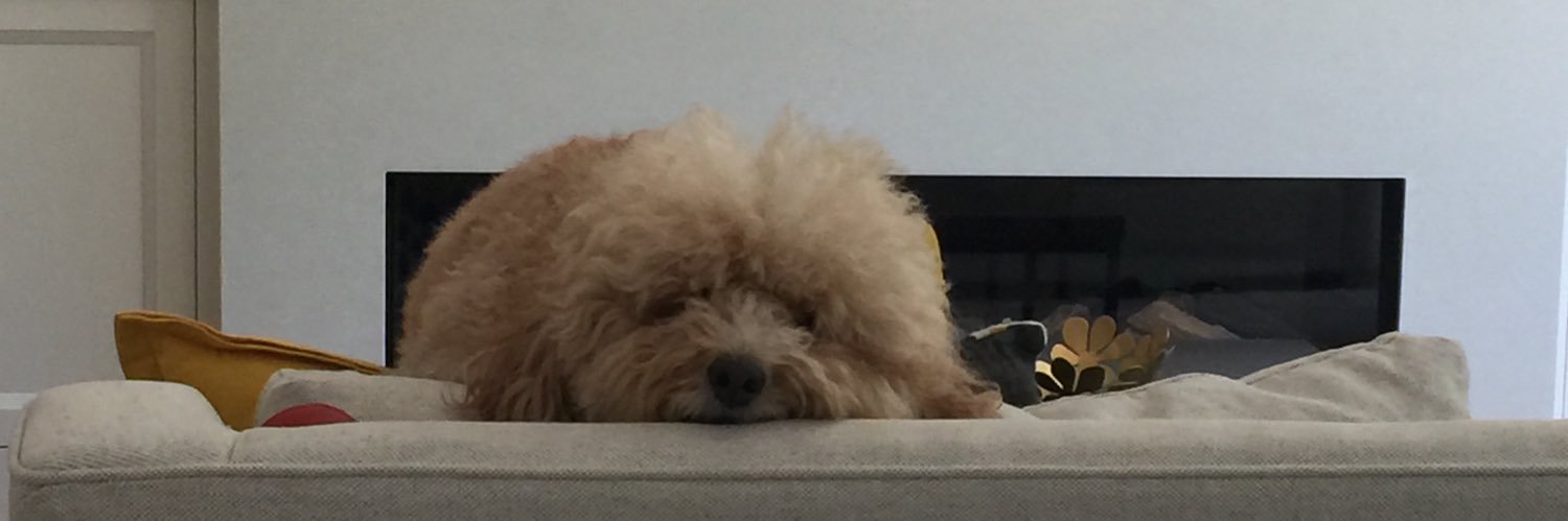 SeaLandAirED's profile banner image