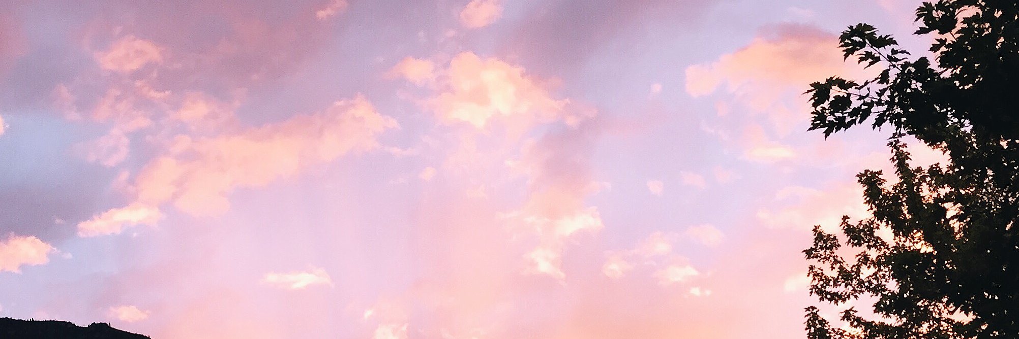 izzyyopfel14's profile banner image