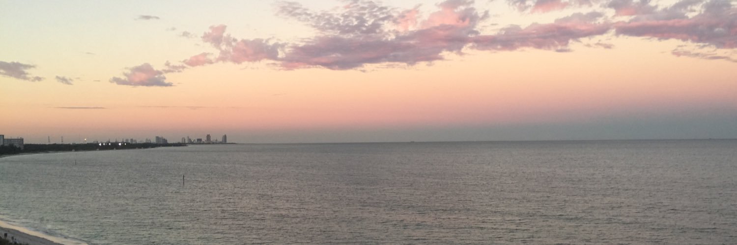 Ludwigsonp's profile banner image