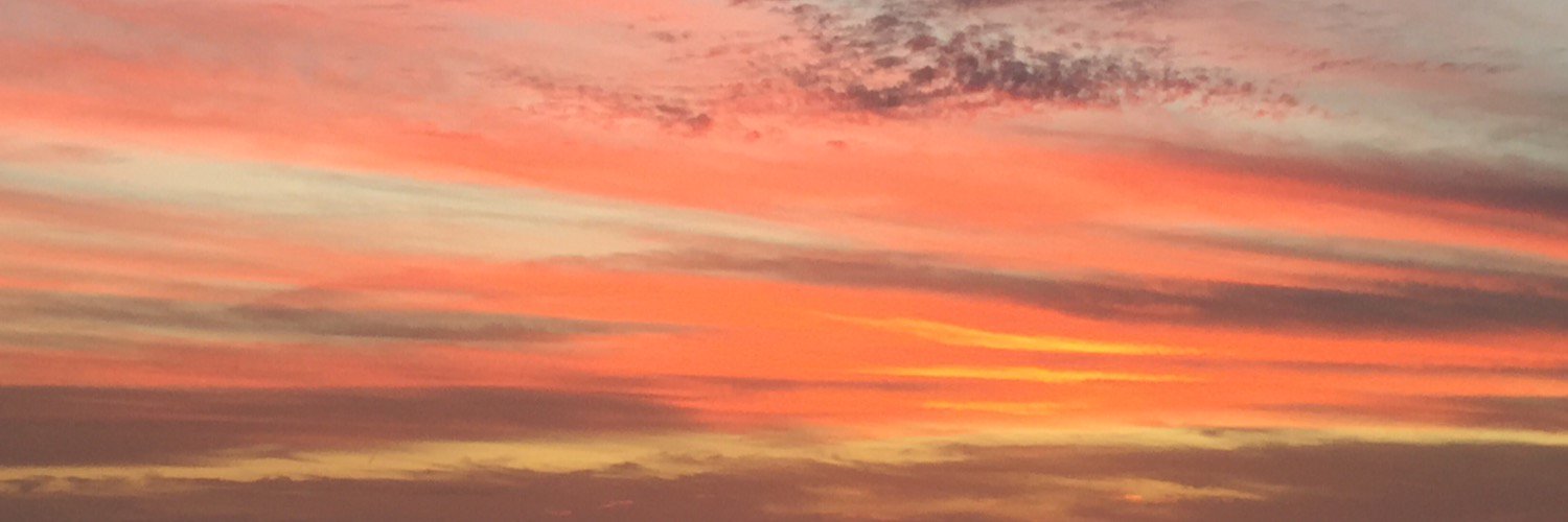 ivytobin's profile banner image