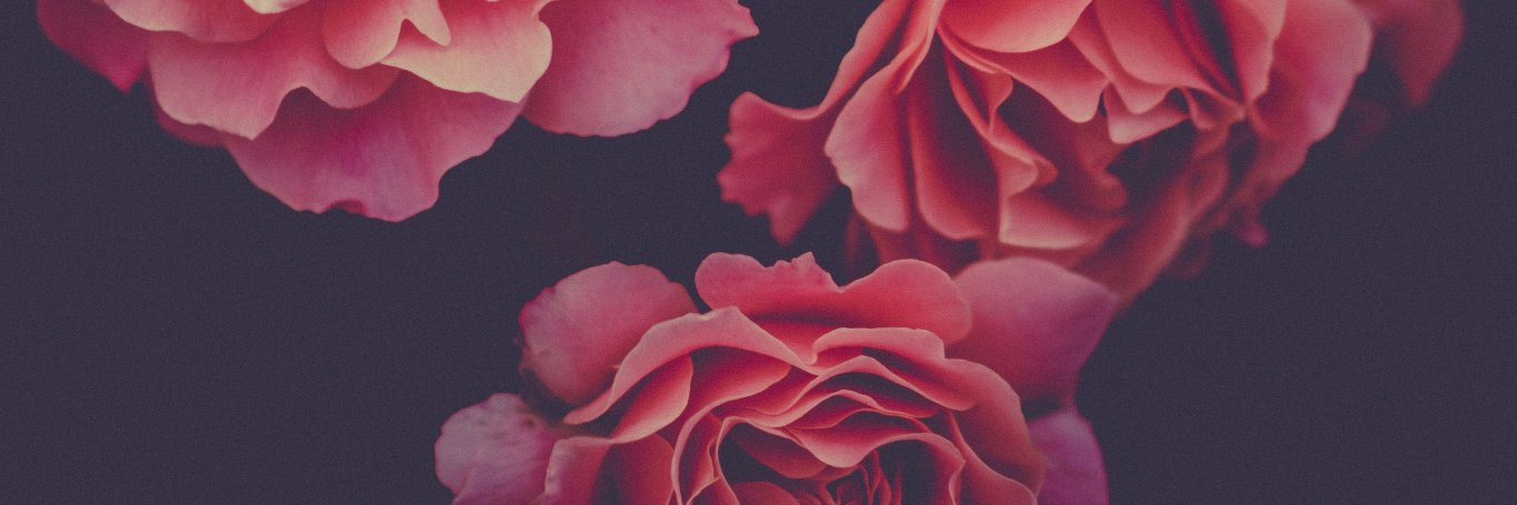 PrettyPoshOMG's profile banner image