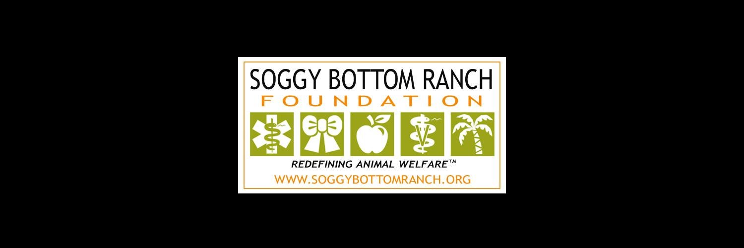 SBR_Foundation's profile banner image