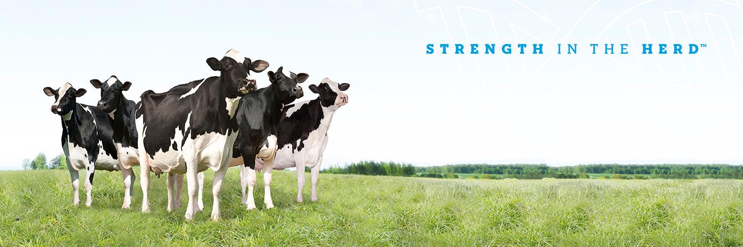 _Westgen's profile banner image