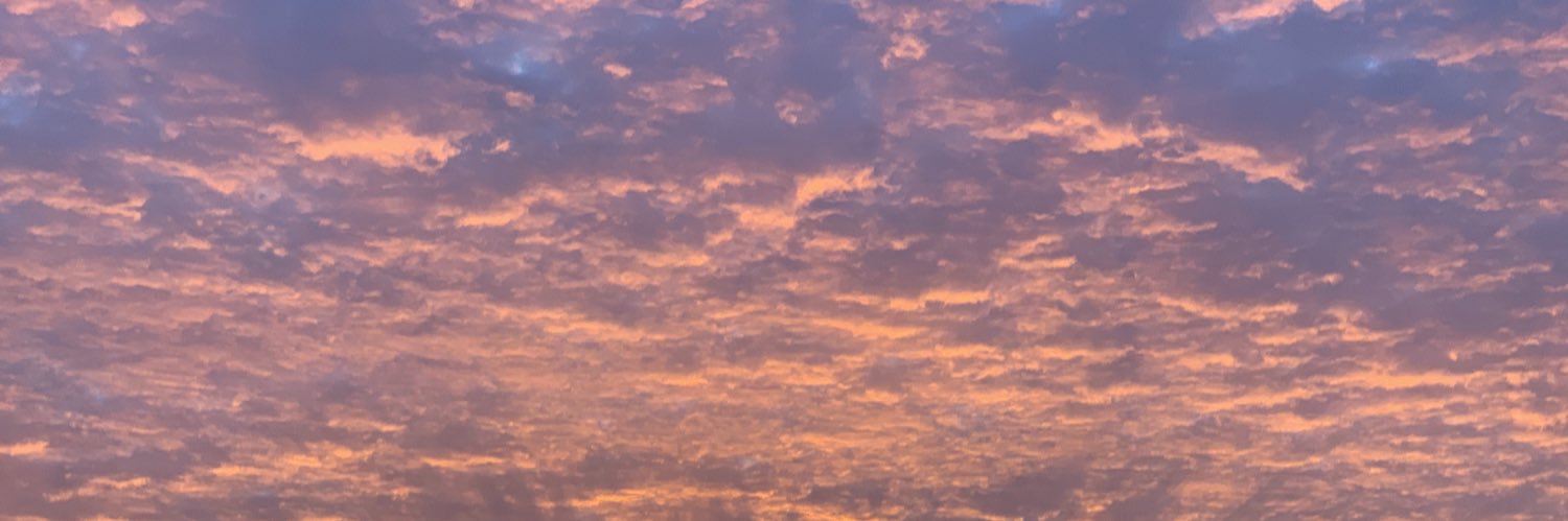 alyshaborgg's profile banner image