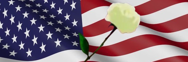Charlie banner
