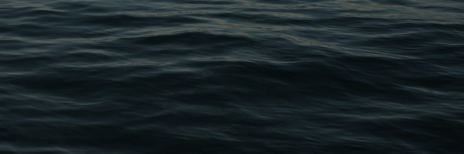 Carolina banner