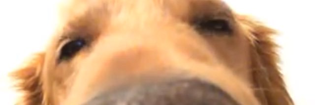 hey_stew's profile banner image