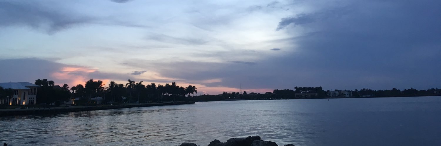 ilvaigomez07's profile banner image