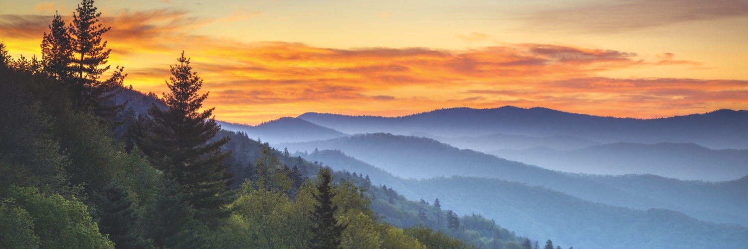 UTAg&ResourceEcon banner