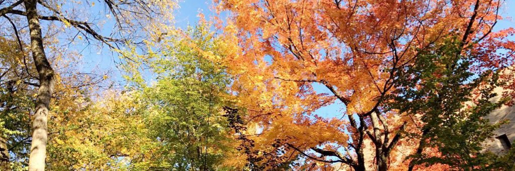 mere_connolly97's profile banner image