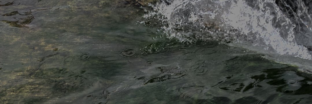 JessieMSousa's profile banner image