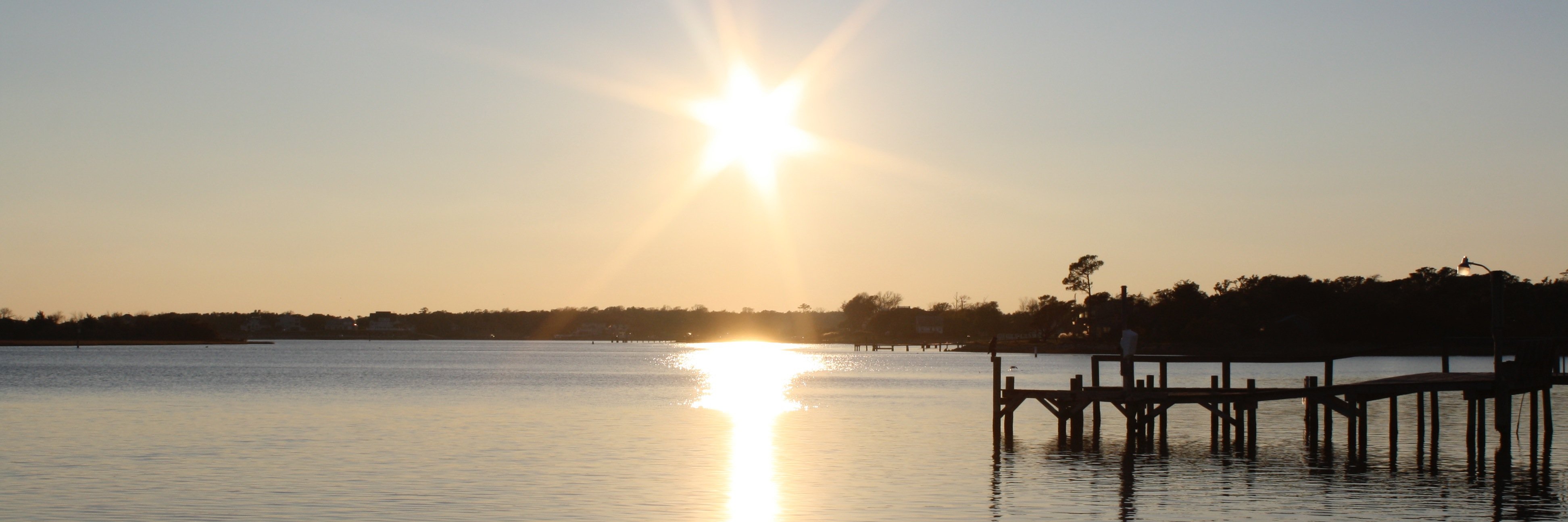 Dr. June Preast banner