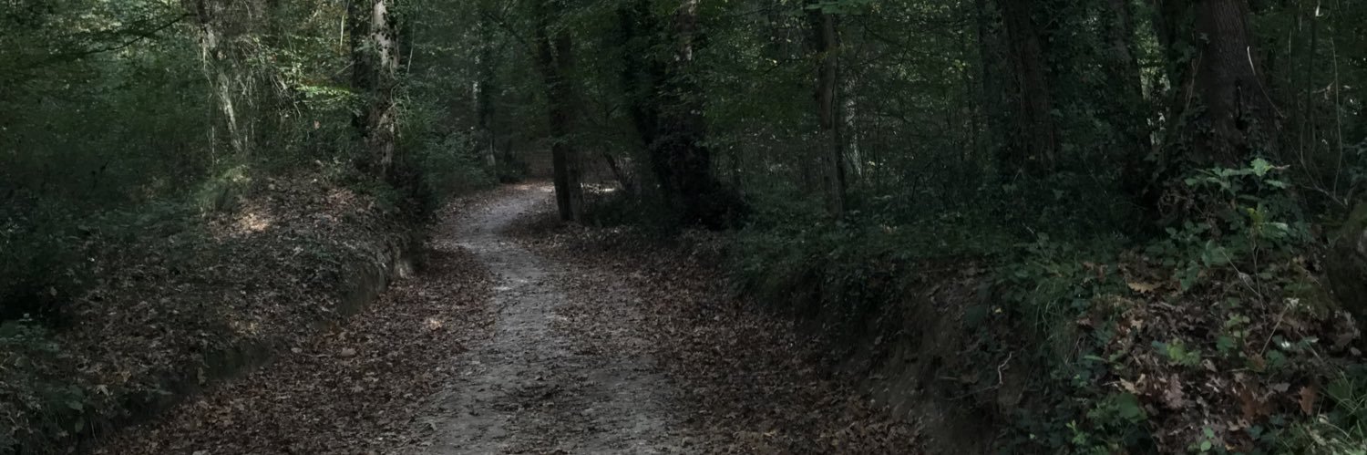 fborulday's profile banner image