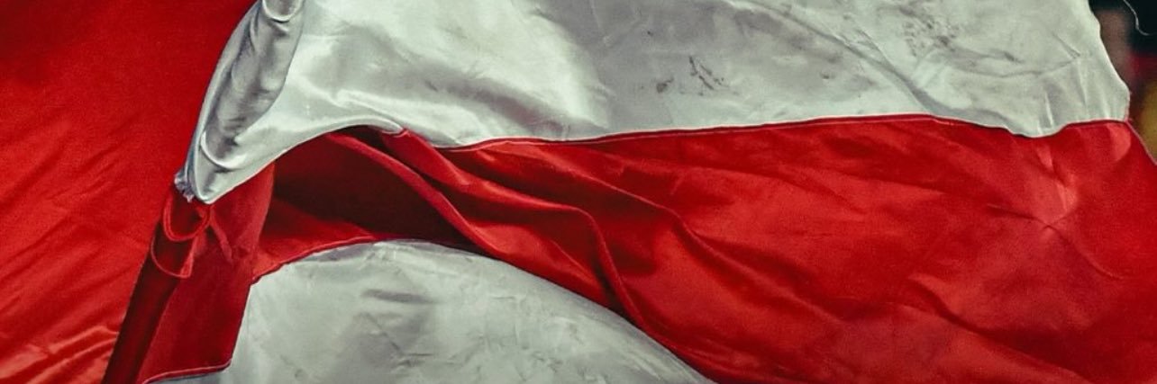 vanitornelli's profile banner image