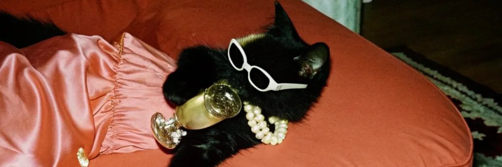 jooordds's profile banner image