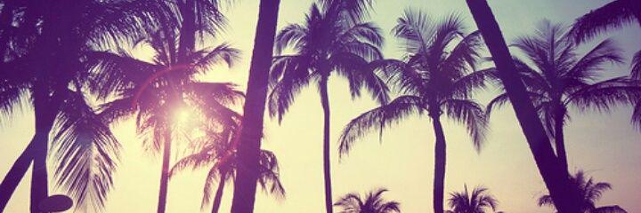 desgold_'s profile banner image