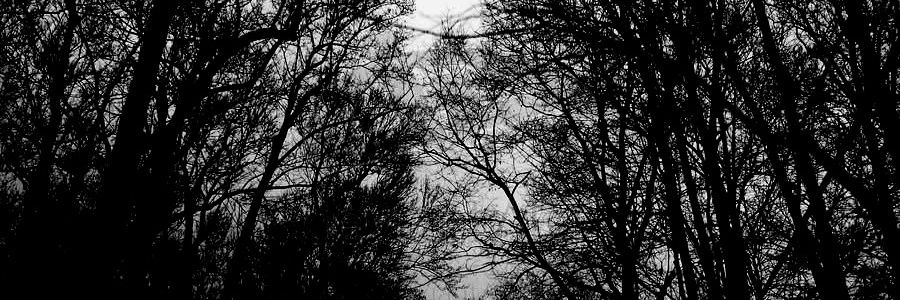 Silent Psycho banner