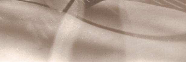 janee424's profile banner image