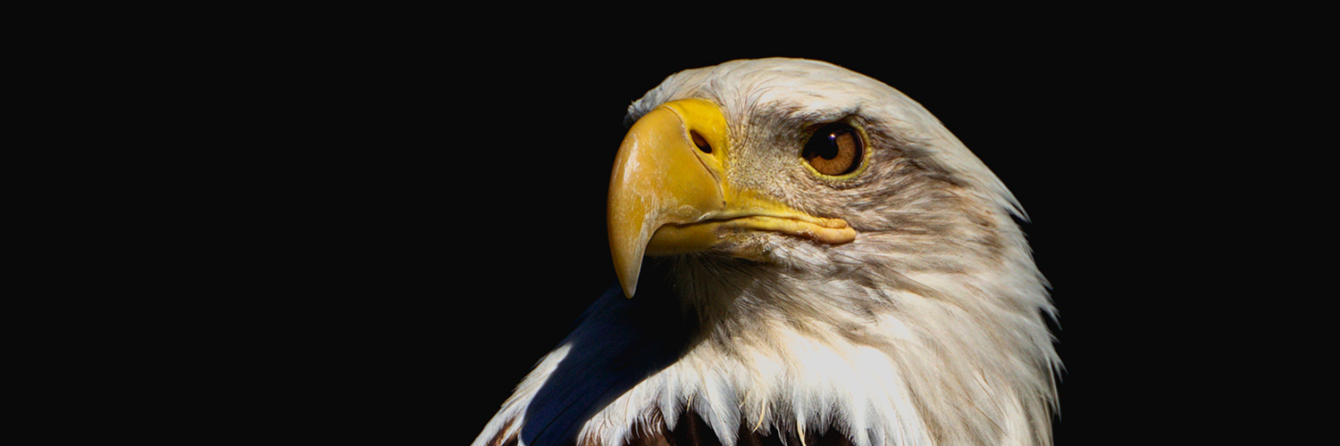 AlbertArchibold's profile banner image
