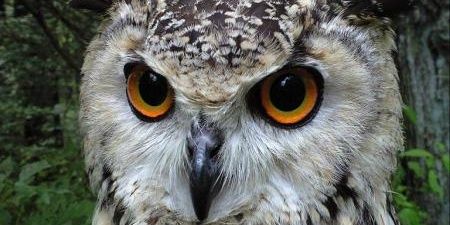 ケンじい☀️ banner