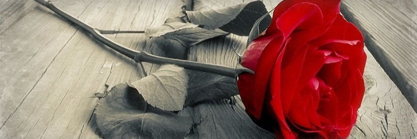 rlfredericks's profile banner image