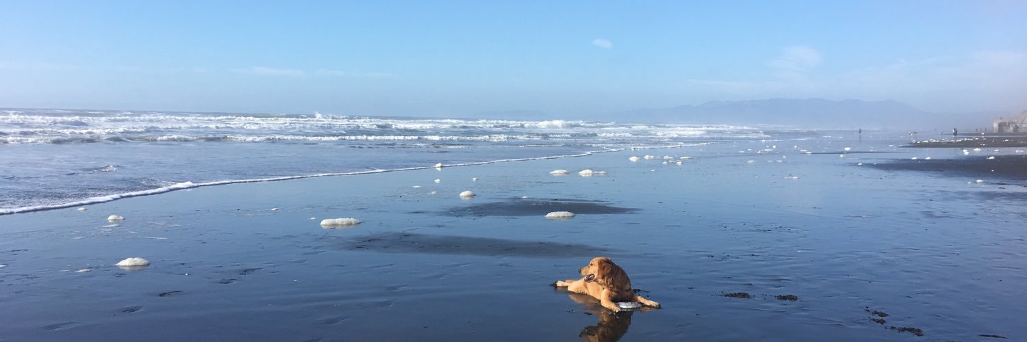 SteveInMyBkyrd's profile banner image