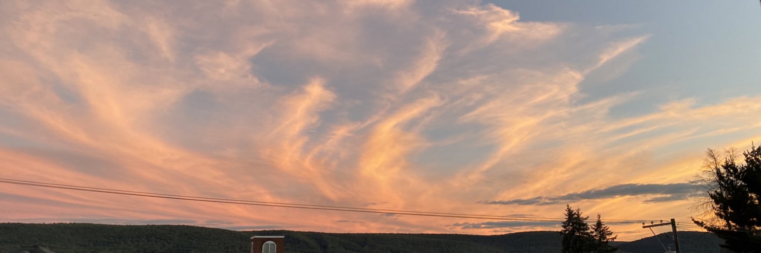 _rosestringg's profile banner image
