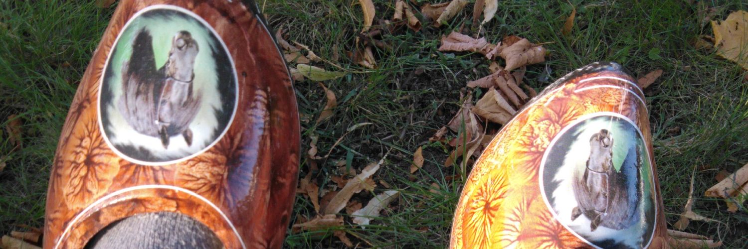 haaije69's profile banner image
