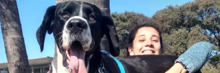 FioVillagra's profile banner image