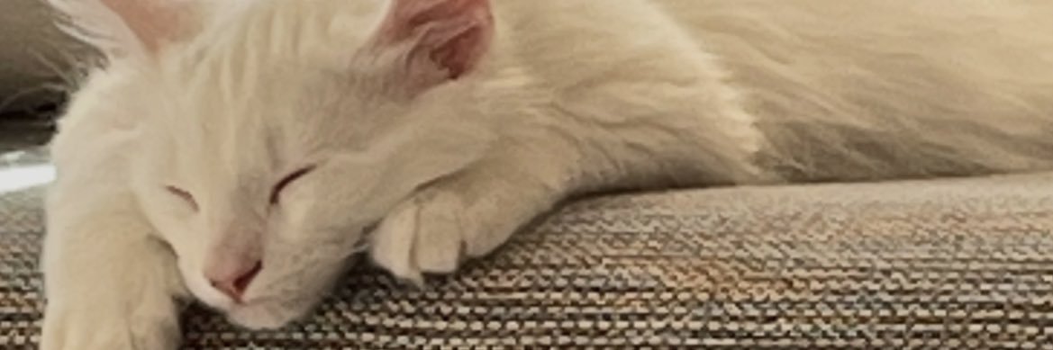 TheThreecrafter's profile banner image