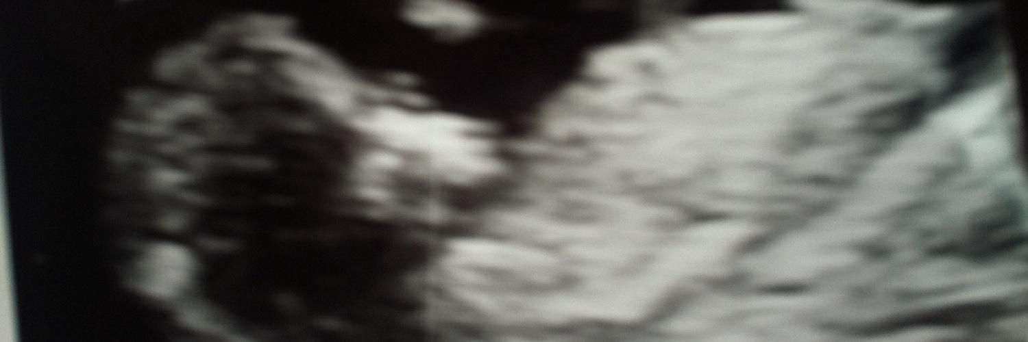 joshboundy's profile banner image