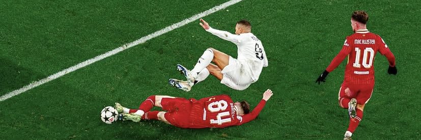steggy banner