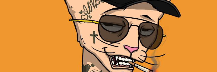 n3llybishh's profile banner image