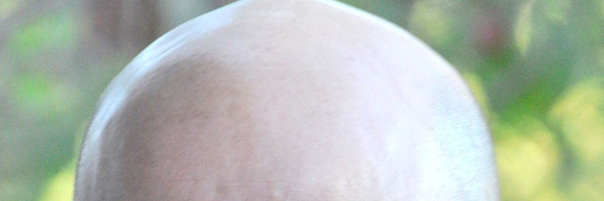 megastaraxe's profile banner image