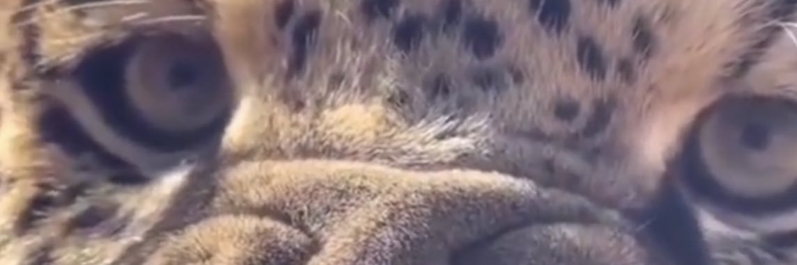 Arnaldo! Isso pode? 🇧🇷🇧🇷🇧🇷 banner