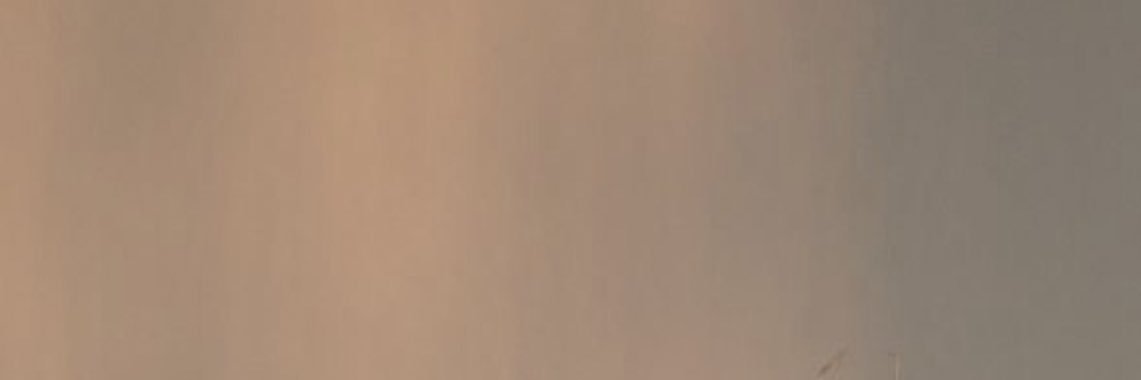 paulaaacuenca's profile banner image