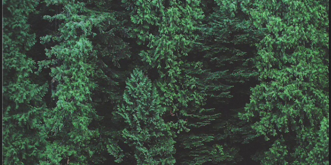 the_soop's profile banner image