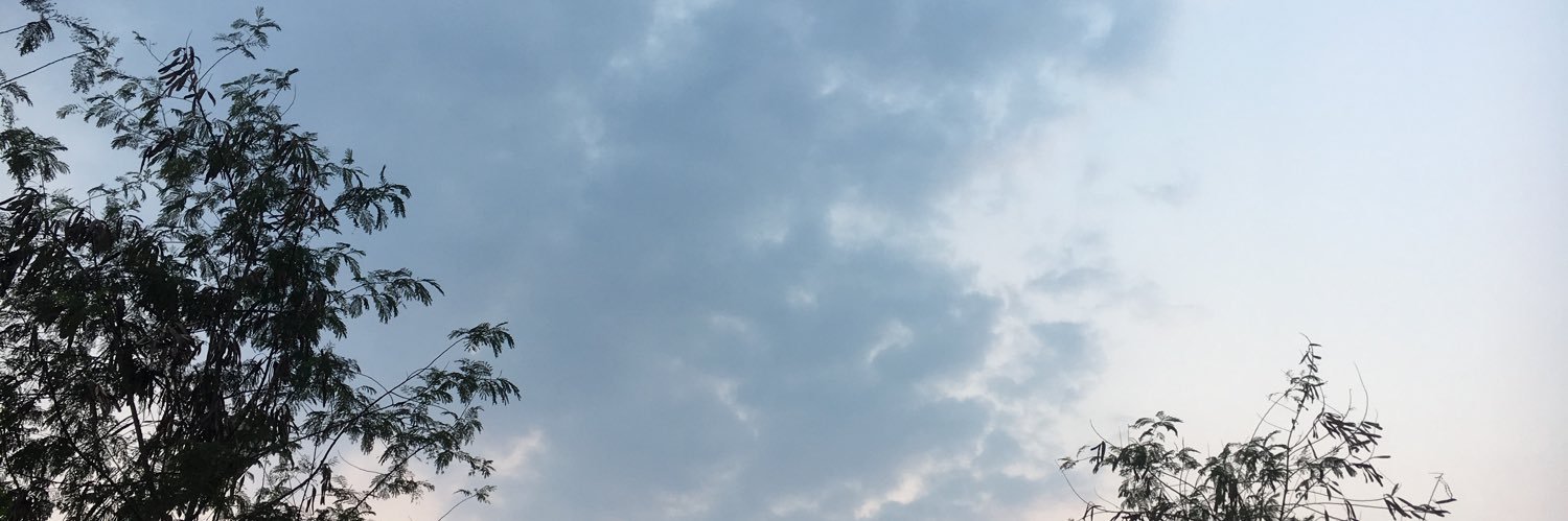 MOGGIG banner
