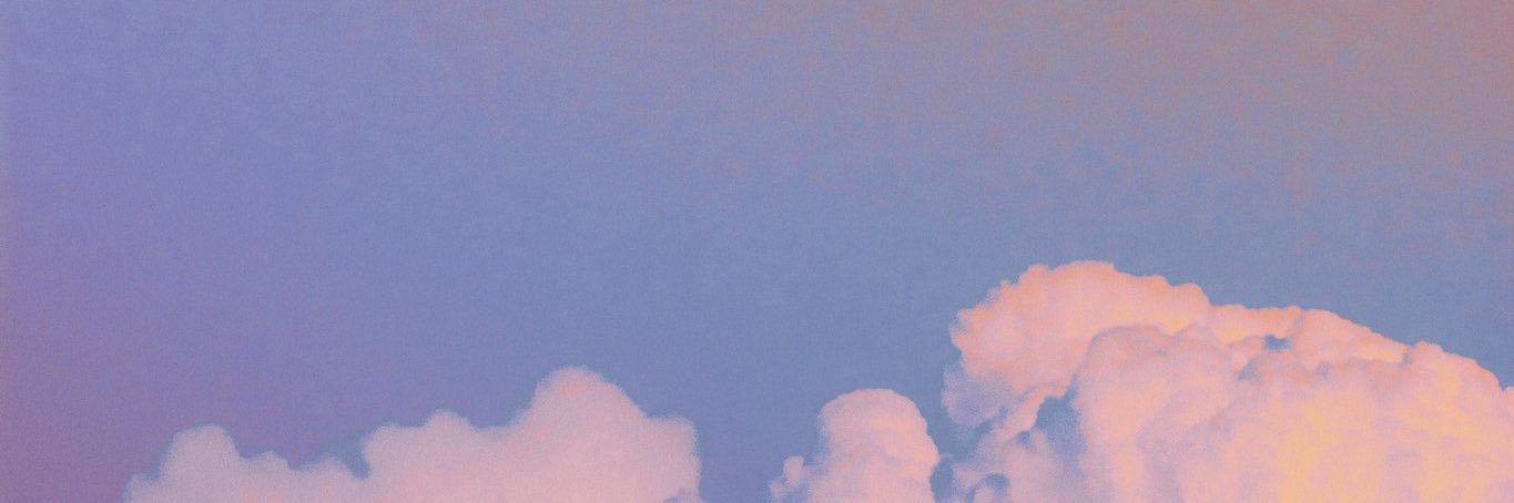 Joey van Rijk banner