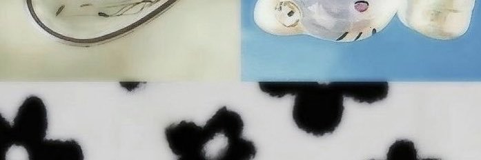 zuulse's profile banner image