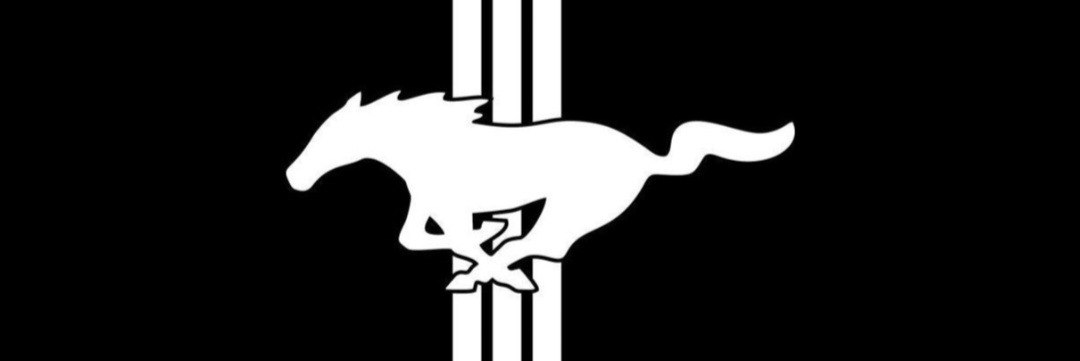 Nicolasperon's profile banner image