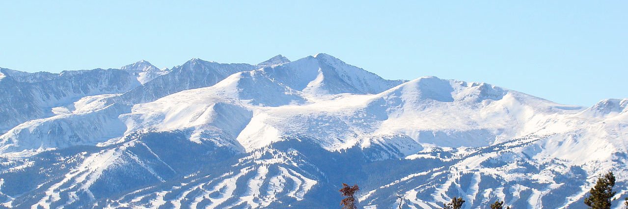 TreeJaayy's profile banner image
